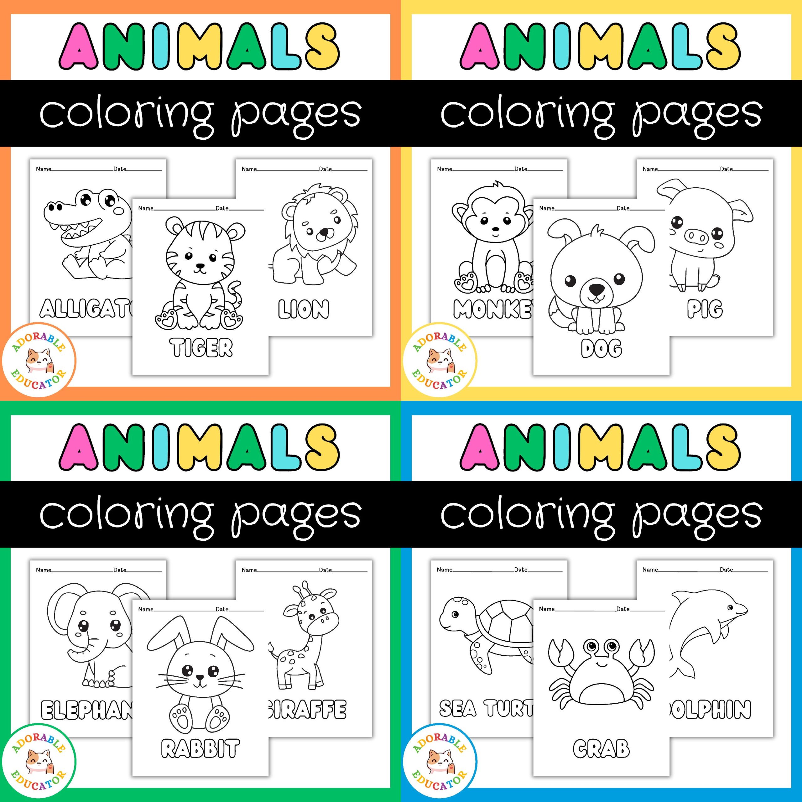 Animals Coloring Sheets Bundle | Zoology & Biology Activity