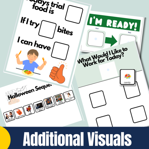 PECS Style Communication Cards BUNDLE | Autism Visual Support for ...