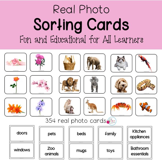 Real Photo Sorting Cards | Categorization Activity for ELL, ESL & Early Learners