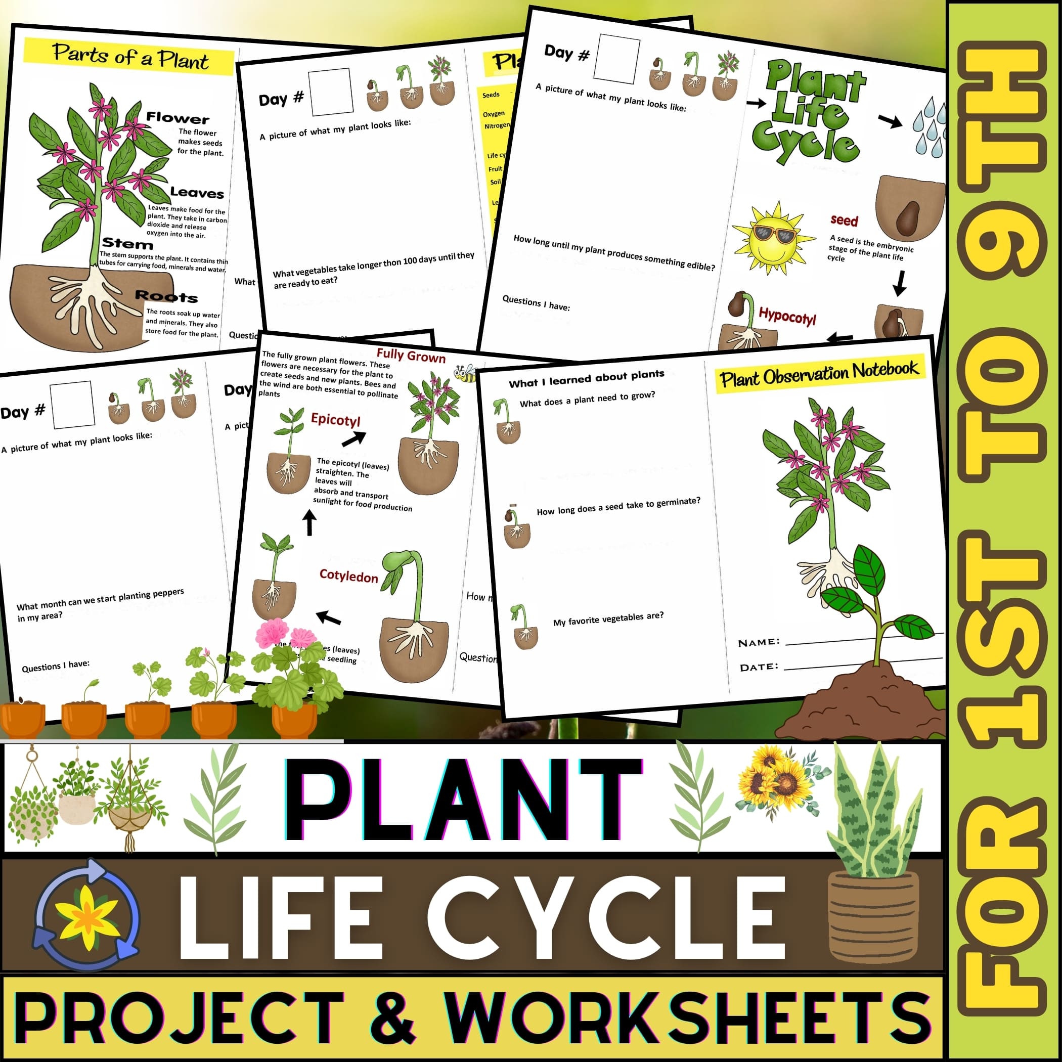 seed planting soil Back to the Roots Organic Seed Starting Mix 6 QT, Brown, Medium main image 1