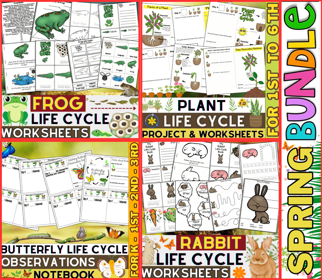 Spring Animals Life Cycles | Butterfly, Frog, Rabbit and Plant Life ...