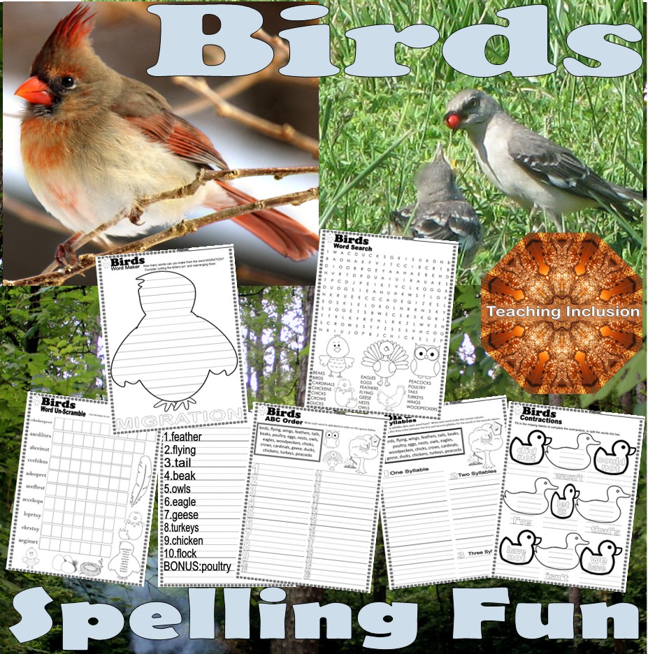 Birds Spelling Word Search NO PREP Fun Activities Worksheets Spring Summer