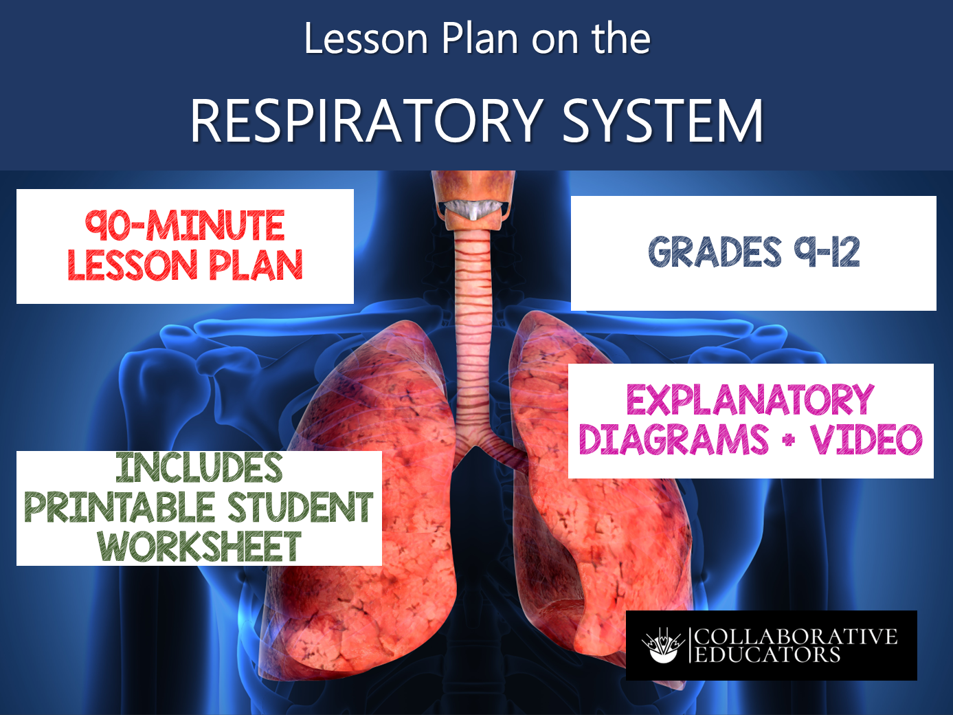 Lesson Plan on the Respiratory System - Grades 9-12