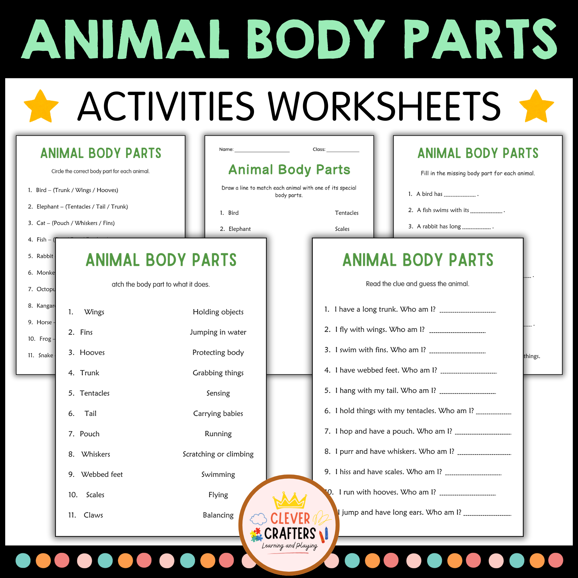 Printable Body Parts of Animals Activity Worksheets for Grade 2, 3, 4