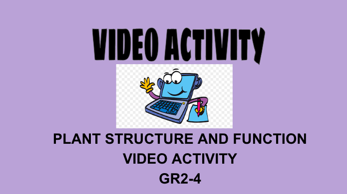 Plant Structure and Function Video Activity Grades 2-4