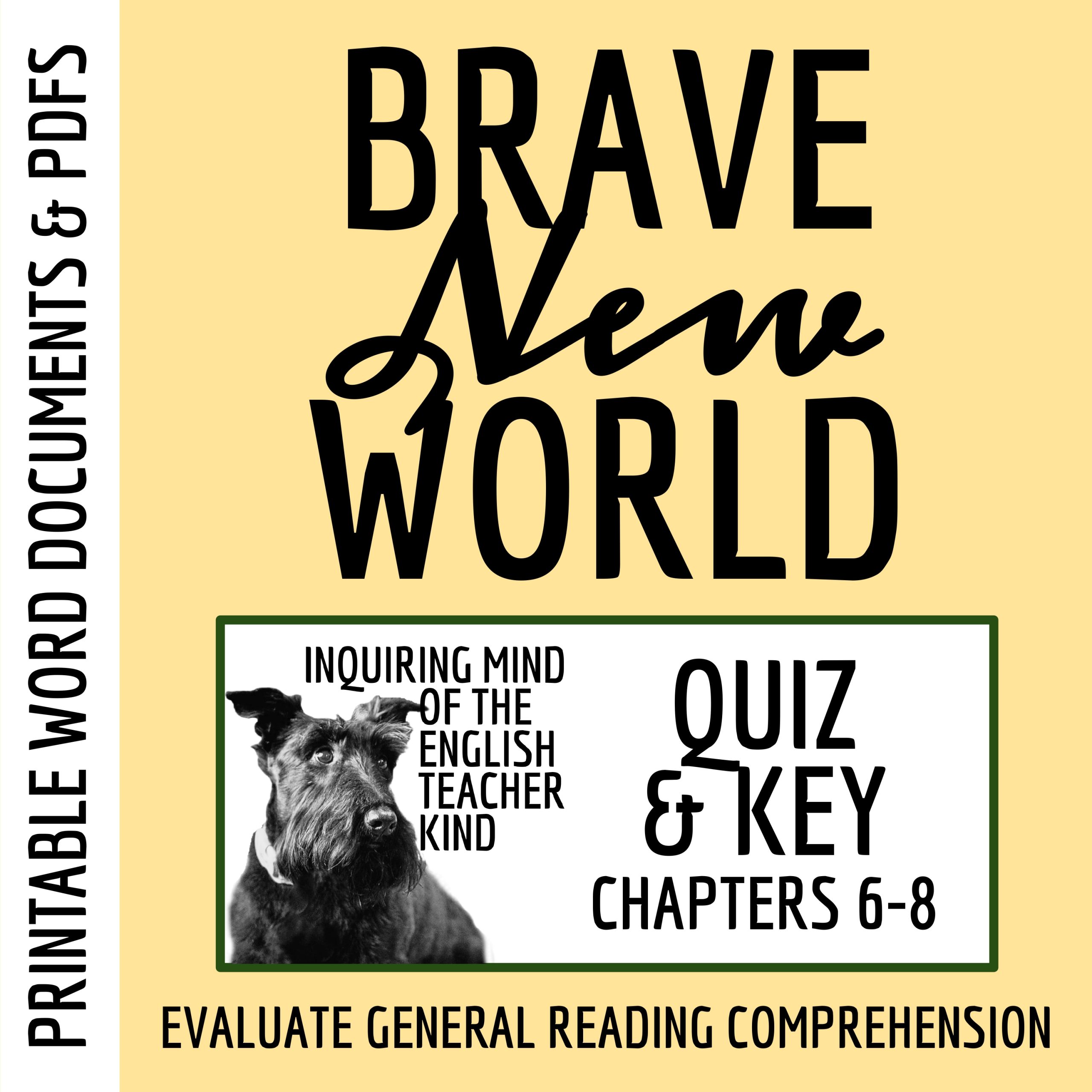 Brave New World Chapters 6, 7, and 8 Quiz and Answer Key for High School ELA