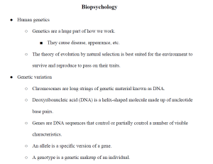 Biopsychology Notes