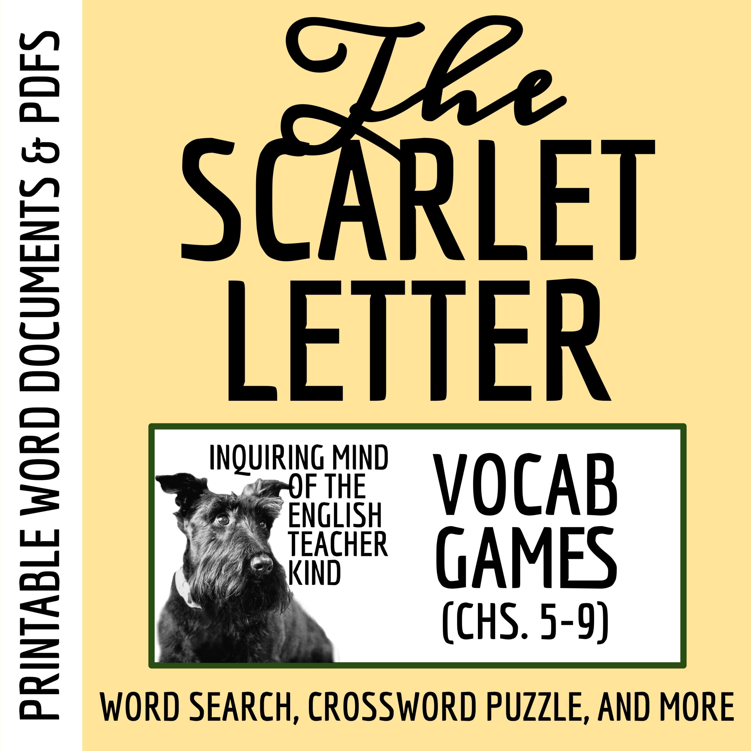 The Scarlet Letter Chapters 5, 6, 7, 8, and 9 Vocabulary Activities