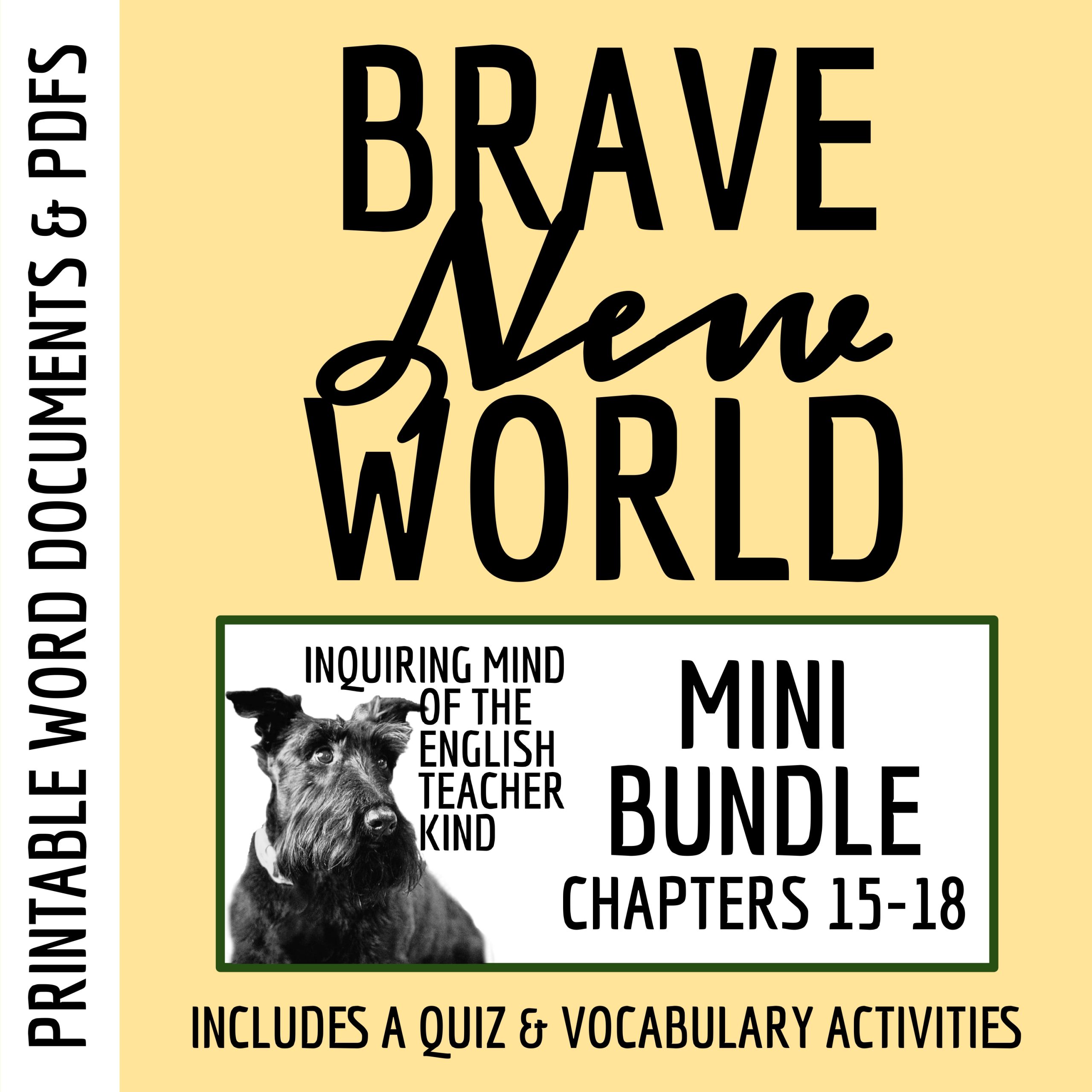 Brave New World Chapters 15, 16, 17, and 18 Quiz and Vocabulary Activities Bundle