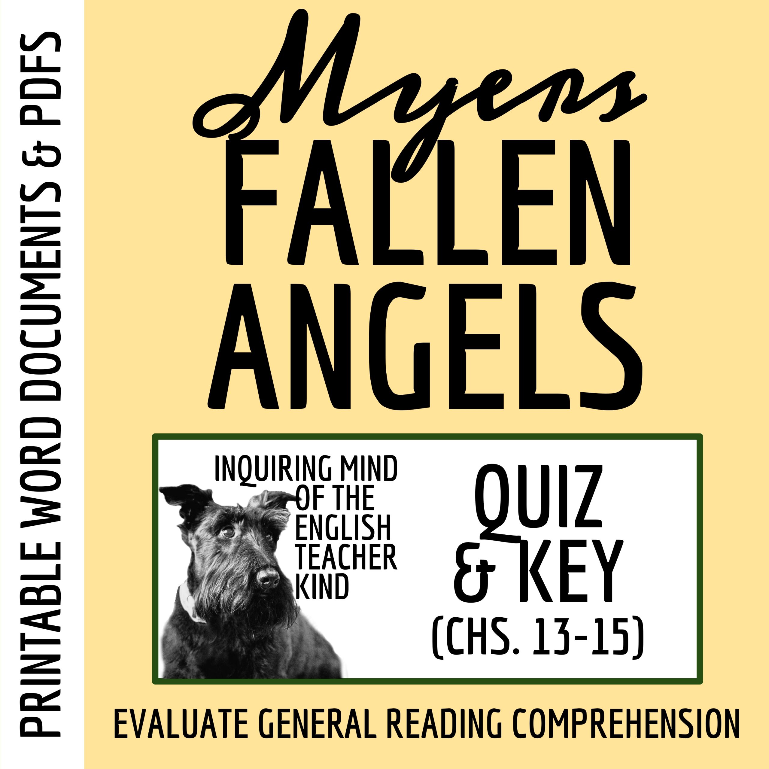 Fallen Angels by Walter Dean Myers Chapters 13, 14, and 15 Quiz and Answer Key