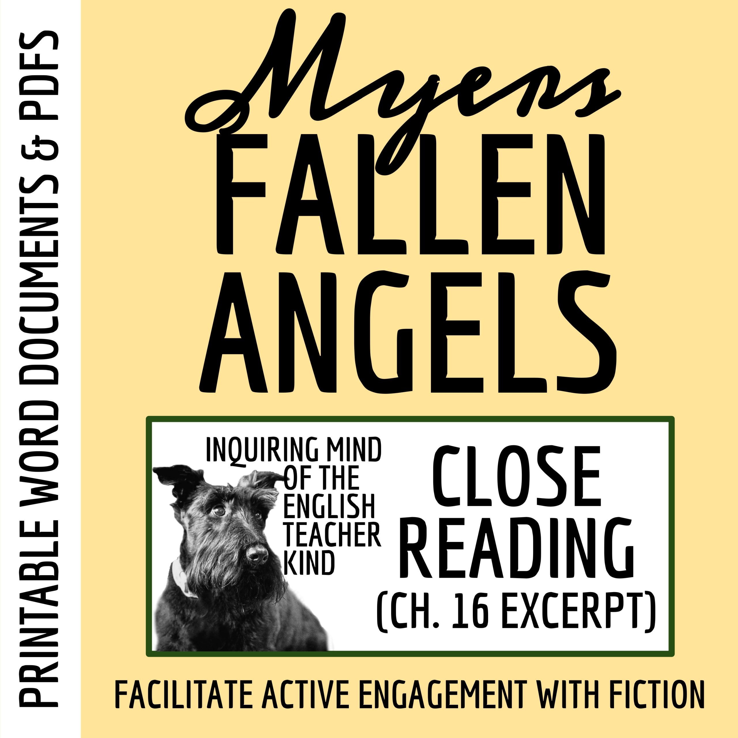 Fallen Angels by Walter Dean Myers Chapter 16 Close Reading Analysis Worksheet
