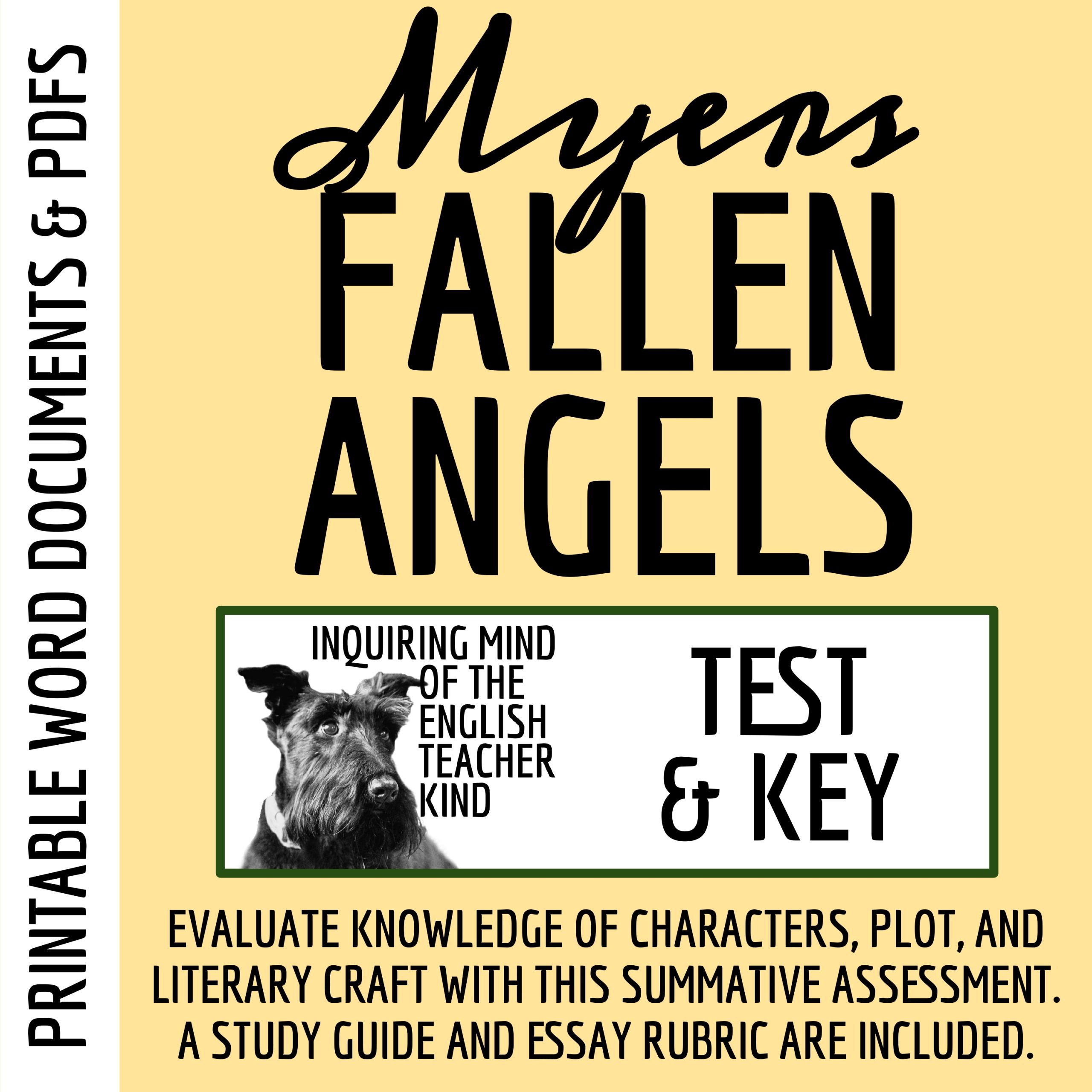 Fallen Angels by Walter Dean Myers Test and Answer Key with a Study Guide
