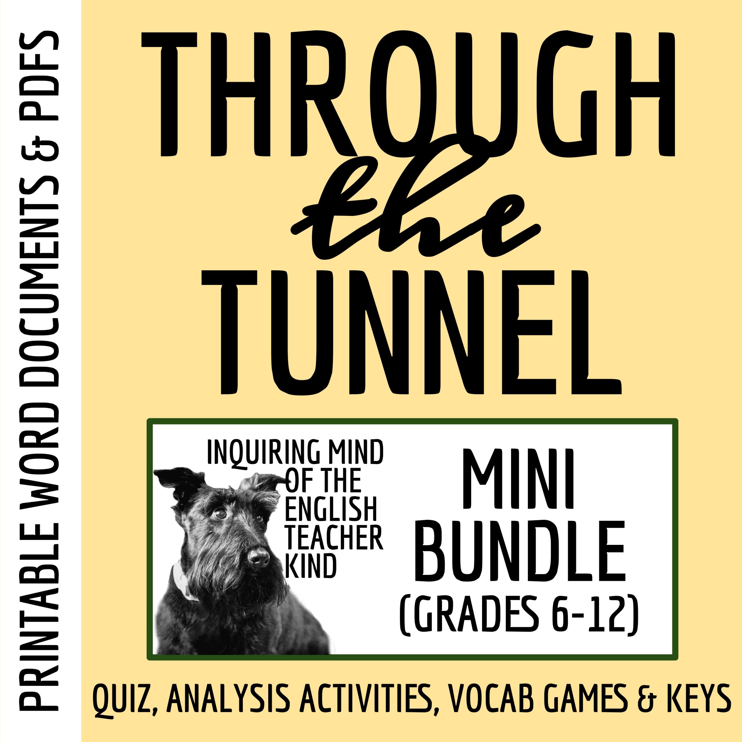 "Through the Tunnel" by Doris Lessing Quiz, Analysis Activities, and Vocabulary Games (Bundle)
