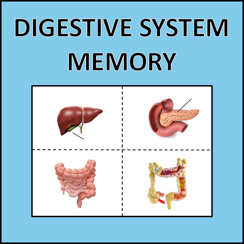 Digestive System Memory - a science game