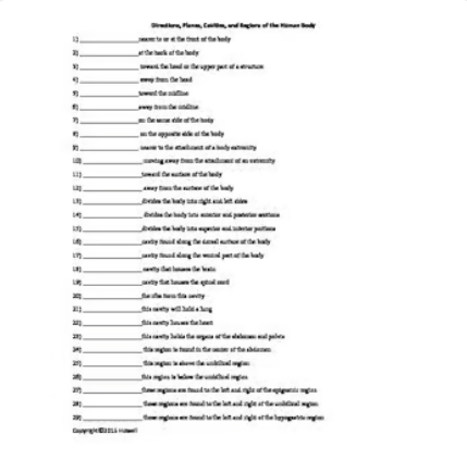 Directions, Planes, Cavities, and Regions of the Human Body Quiz or Worksheet