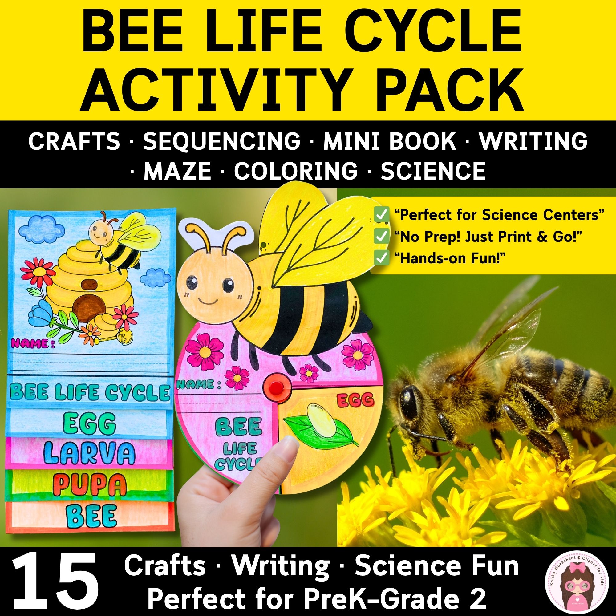 Bee Life Cycle Activities PreK to Grade 2 Cut Paste Craft Writing Worksheets