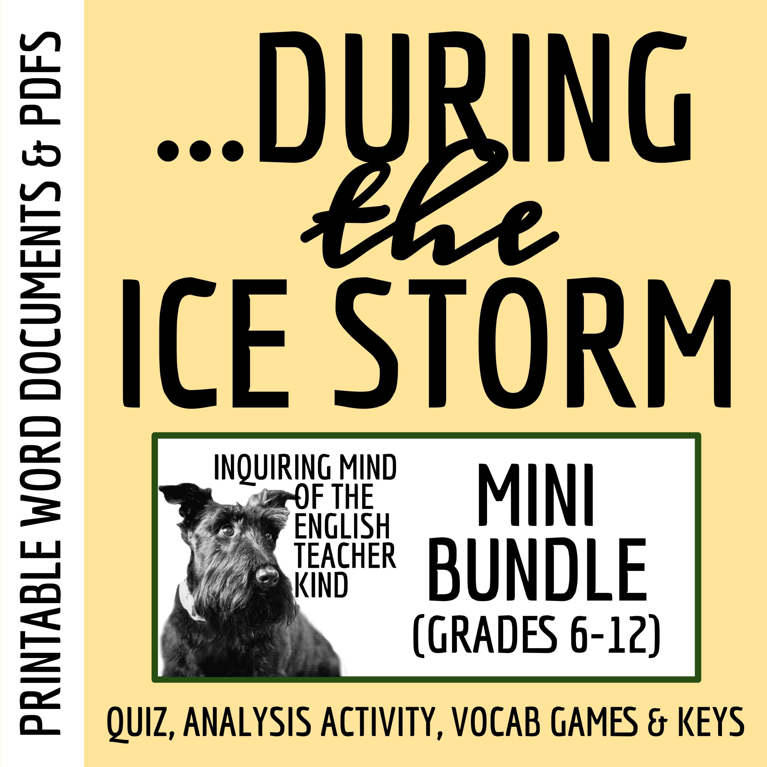 "What Happened During the Ice Storm" Quiz, Worksheet, and Vocabulary Games (Short Story)
