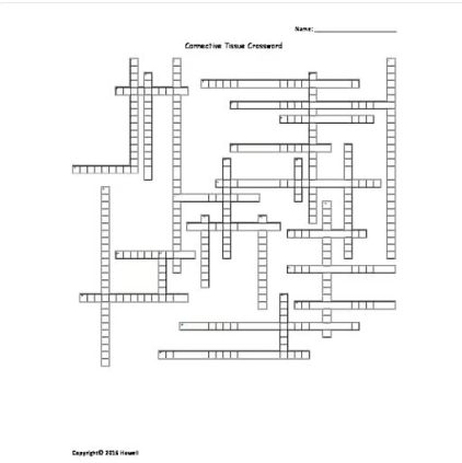 Connective Tissue Crossword for Anatomy