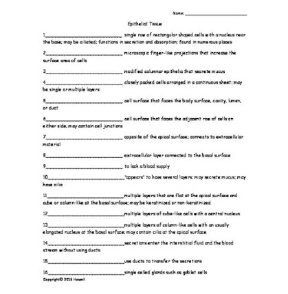 Epithelial Tissue Quiz or Worksheet for Anatomy