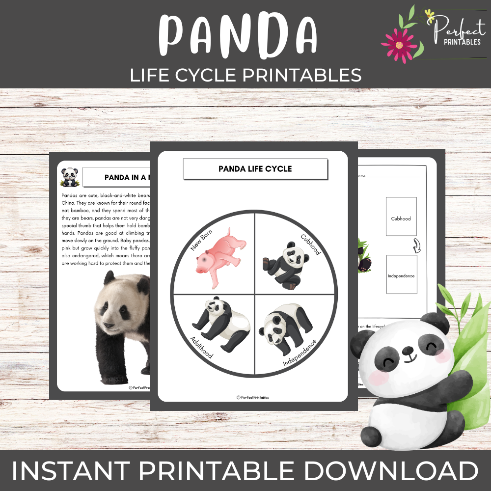 Panda life cycle diagram, animals cut & paste, matching activity, fun facts