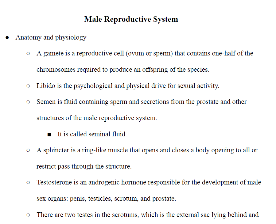 Male Reproductive System Notes