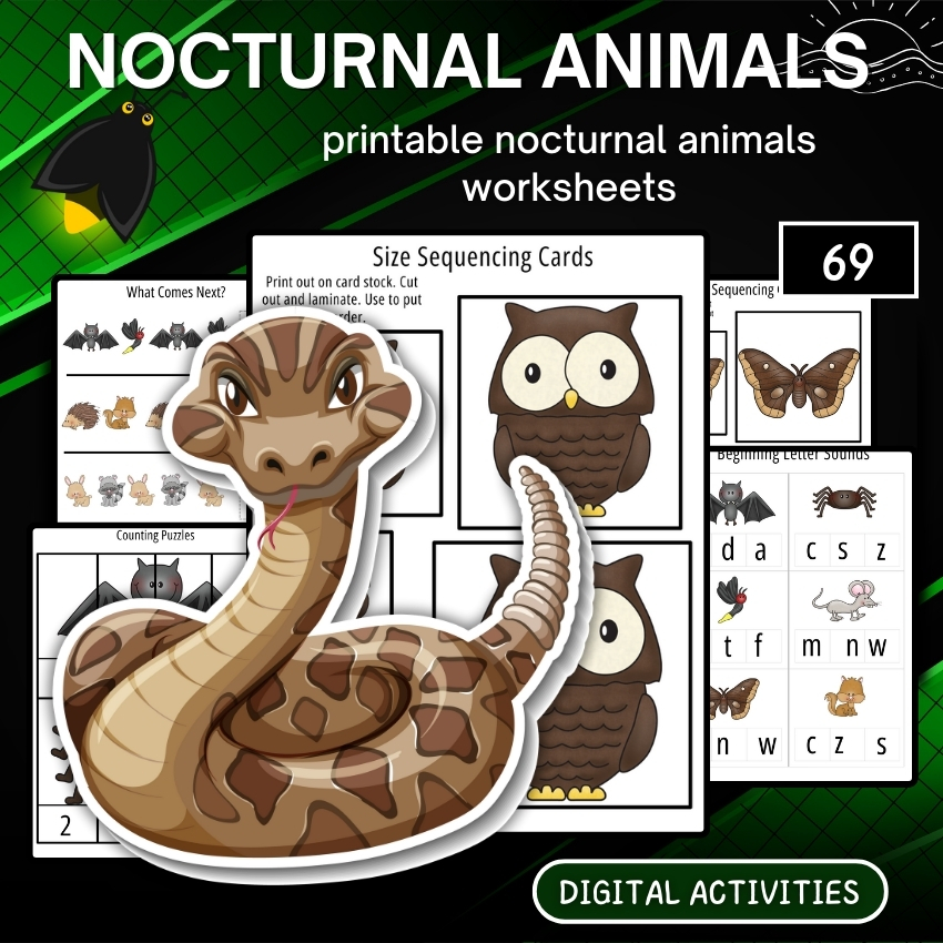 printable nocturnal animals worksheets back to school