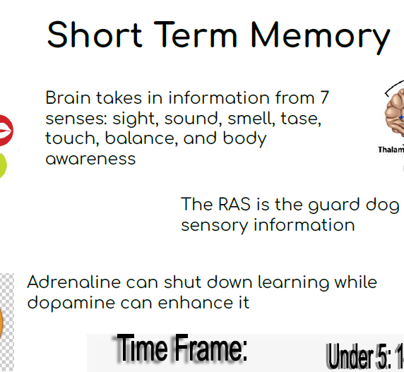 Short Term Memory Anchor Chart