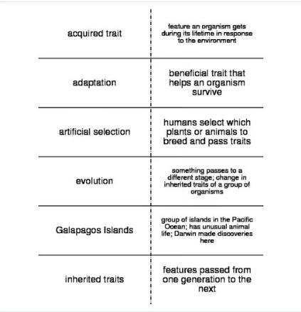 Evolution Flash Cards for Middle School Science