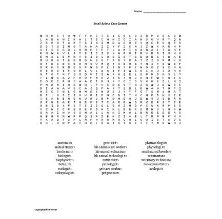 Careers in Small Animal Care Word Search for Animal Science Students