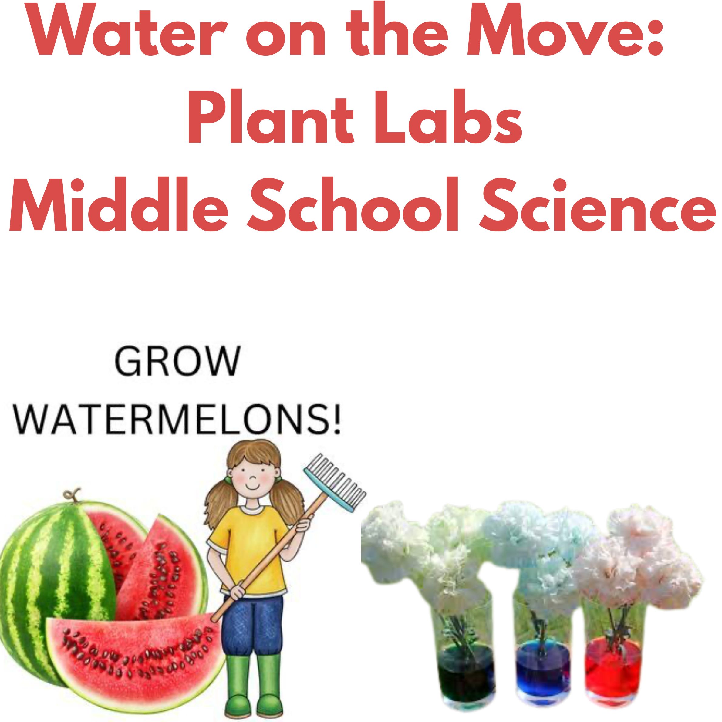"Hands-On Plant Science: 2 Mini Plants Water Labs & How to grow Watermelons