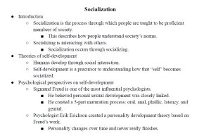 Socialization Notes