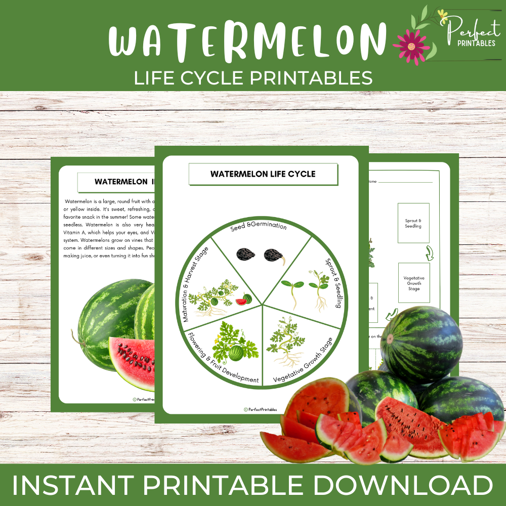 Life Cycle of a Watermelon Activities | Fruit Biology Unit Study With Fun Facts!