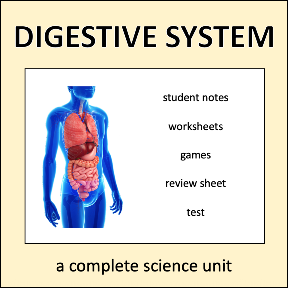 Digestive System - a complete science unit