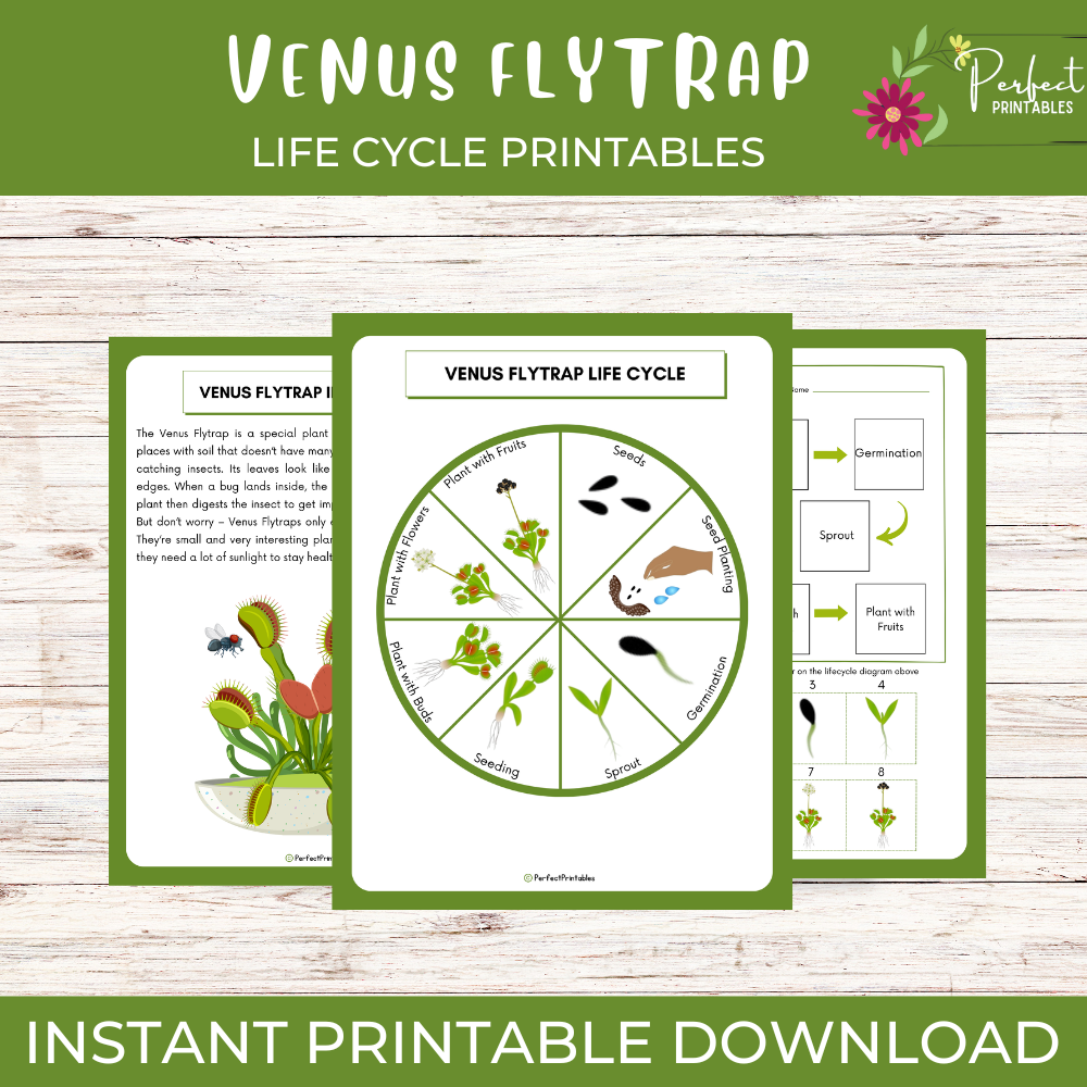 Life Cycle of a Venus Flytrap Worksheet- Plant Science Unit Study With Fun Facts