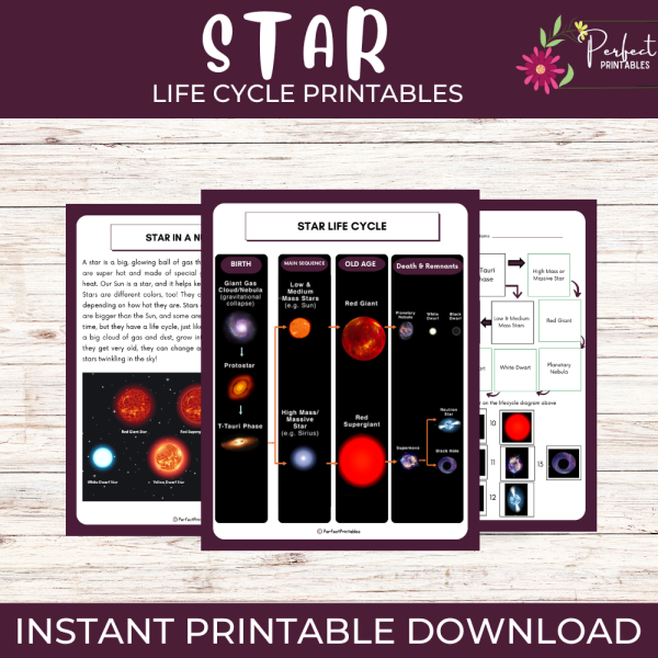 Life Cycle of a Star Worksheet - Science Unit Study With Fun Facts ...