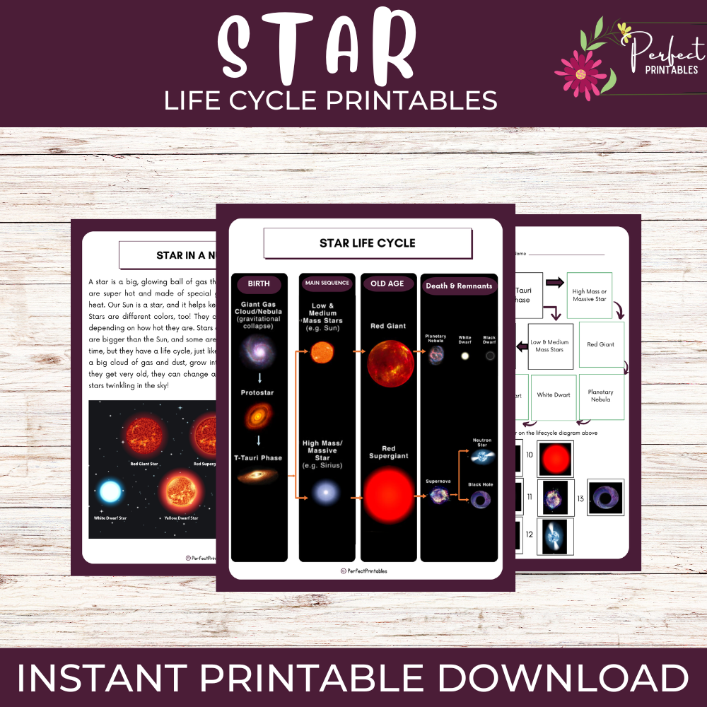 Life Cycle of a Star Worksheet - Science Unit Study With Fun Facts