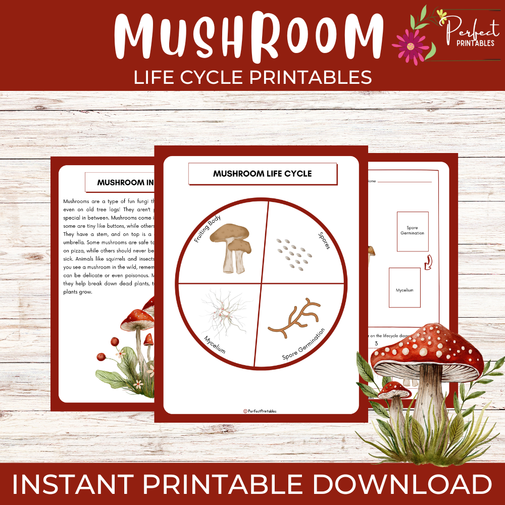 Mushroom Life Cycle Worksheet- Plant Science Unit Study With Fun Facts!