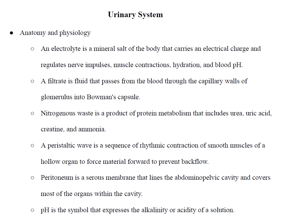 Urinary System Notes