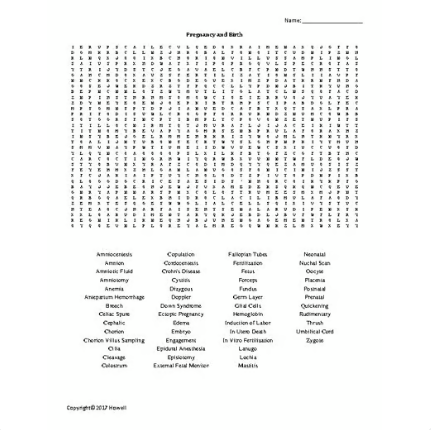 Pregnancy and Birth Word Search for Physiology Students