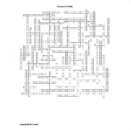 Muscles of the Body Crossword