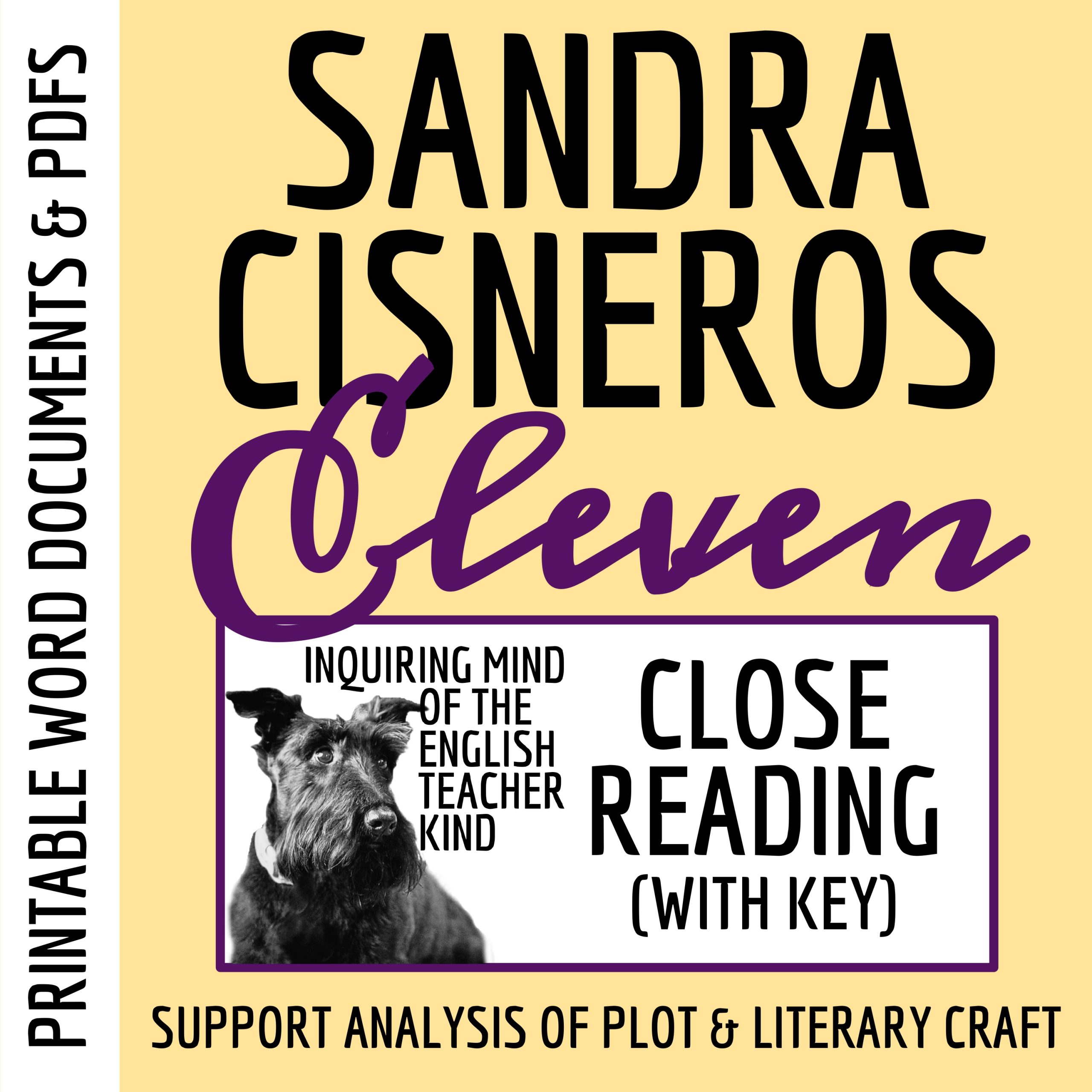"Eleven" by Sandra Cisneros Literary Analysis Worksheet and Answer Key | Coming of Age Story