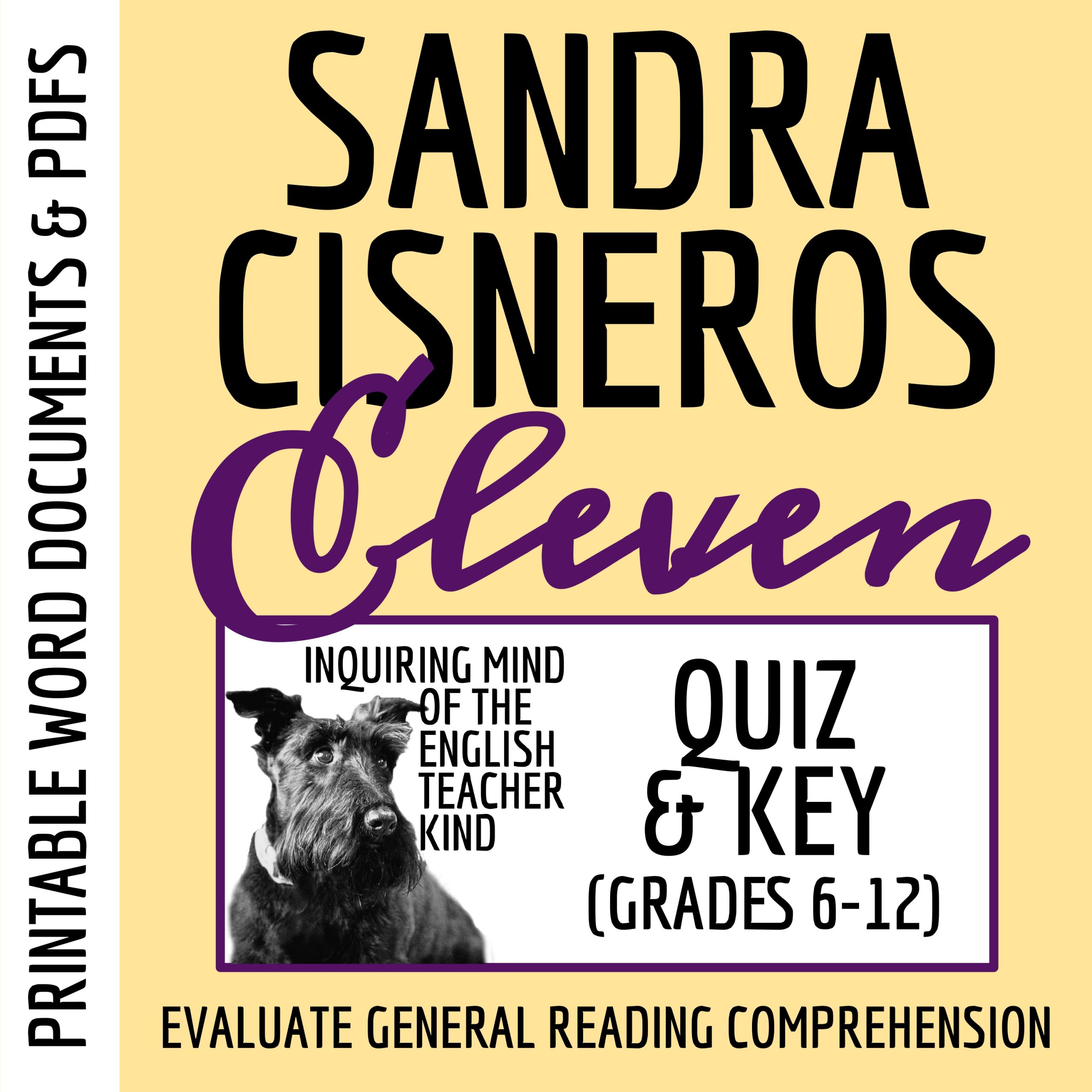 "Eleven" by Sandra Cisneros Quiz and Key | Coming of Age Short Story | Fiction