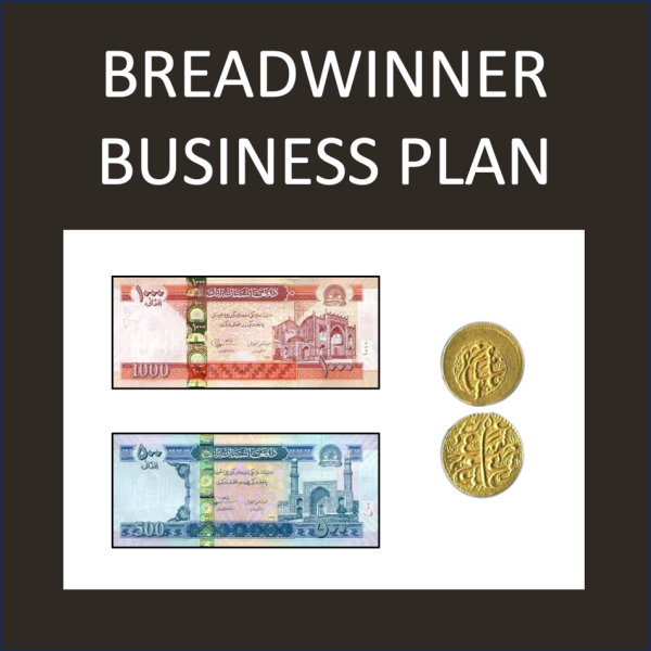 The Breadwinner - a complete novel study - Made By Teachers