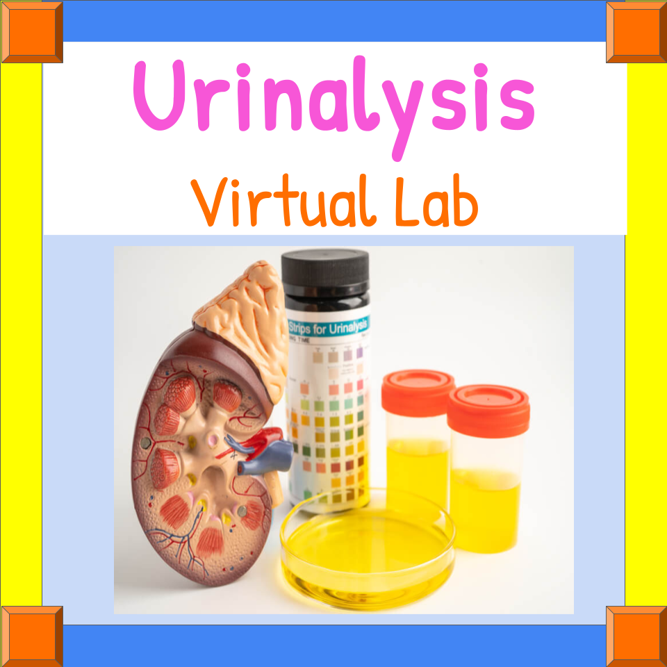 Urinalysis VIRTUAL LAB & CER - Online Learning Google Slides Activity