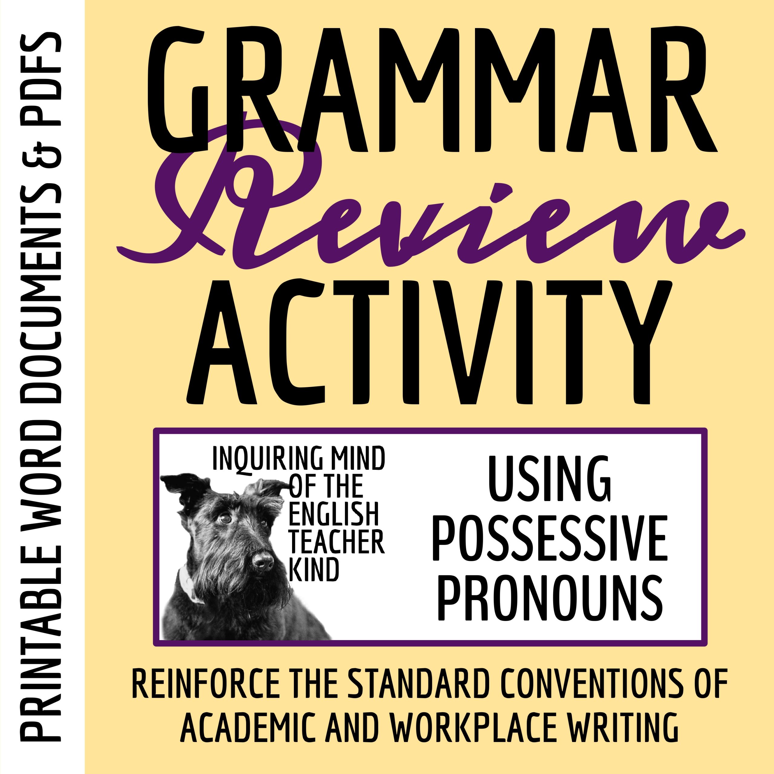 Grammar Review Worksheet on Possessive Pronouns | High School English Activity