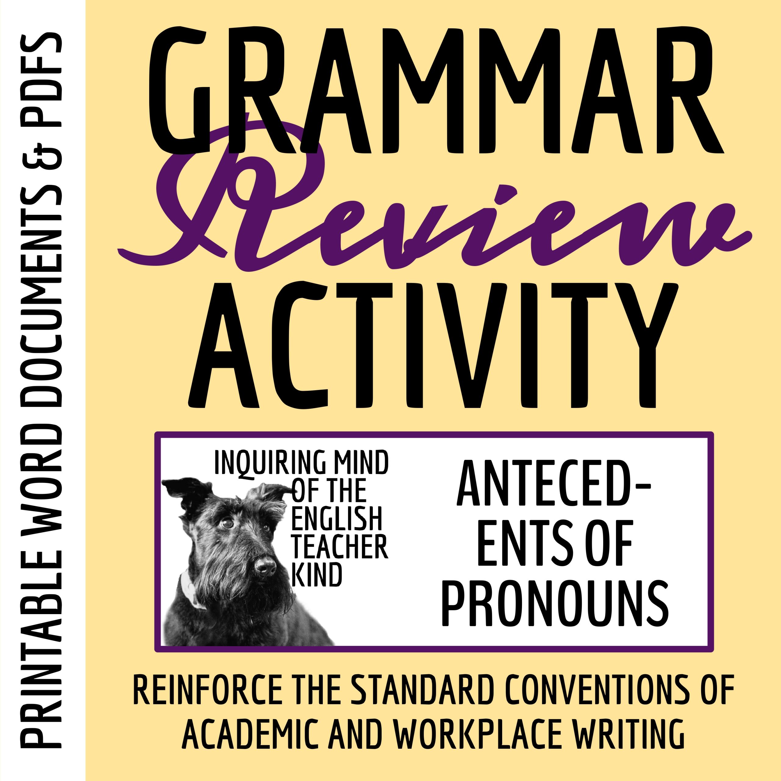 High School Grammar Practice Worksheet on Identifying Antecedents of Pronouns