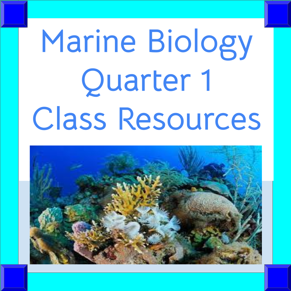 First Quarter Marine Biology (Part 1 of a One Semester Class)