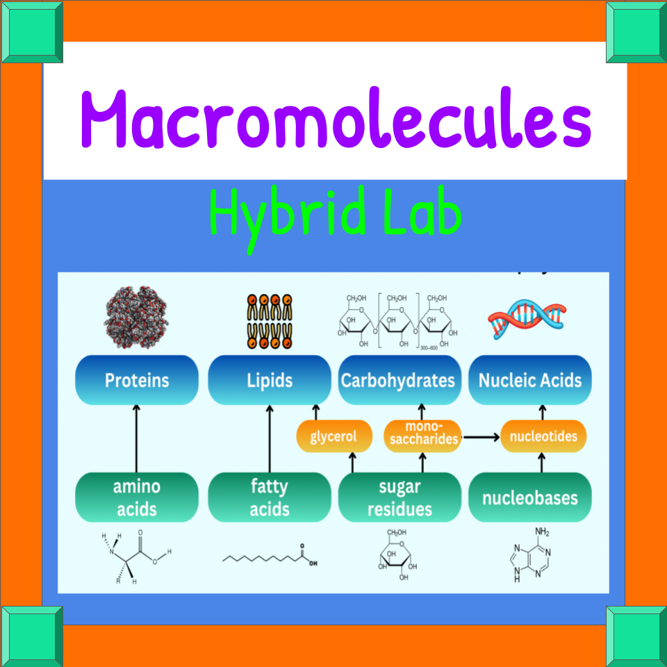 Macromolecules In-Class & Virtual Lab Combo - Powerpoint Lesson + Labs
