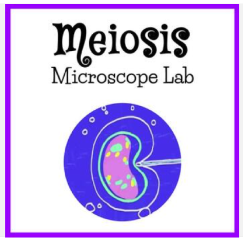 Meiosis Microscope VIRTUAL LAB Lily Anther Cell Lesson & Google Slides Activity