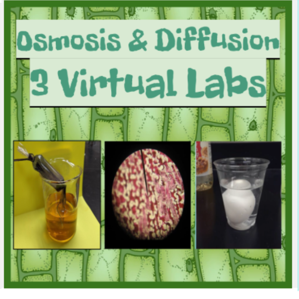 Osmosis & Diffusion VIRTUAL Lab Iodine, Onion Cell & Egg Osmosis Combo